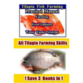 Tilapia Fish Farming