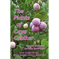 The Plants of Caye Caulker