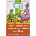 Mmama Tells Stories: Why Tortoise Has No Hair on its Head and More