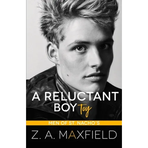A Reluctant Boy Toy: A demisexual, bi awakening romance