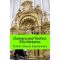 Gemara and Tosfos: Eilu Metzios