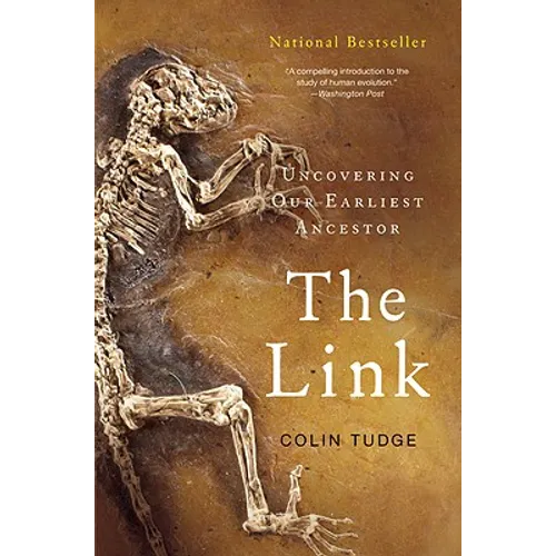 The Link