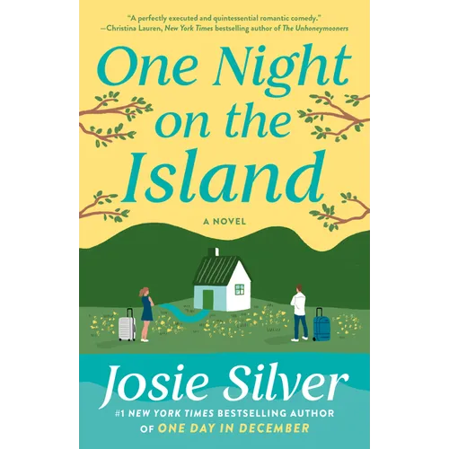 One Night on the Island