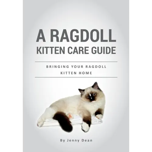 A Ragdoll Kitten Care Guide: Bringing Your Ragdoll Kitten Home