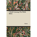 Y Beibl Cymraeg (the Welsh Bible)