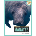 Manatee