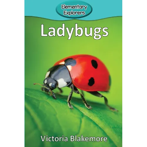 Ladybugs