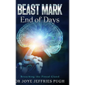 Beast Mark: End of Days "Breaching the Pineal Gland"