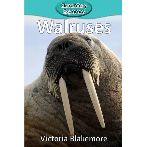 Walruses