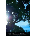 The Communion Of Saints