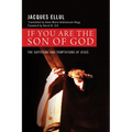 If You Are the Son of God