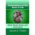 Commentary on the Book of Job: Bible Study Notes and Comments