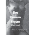 The Human Figure