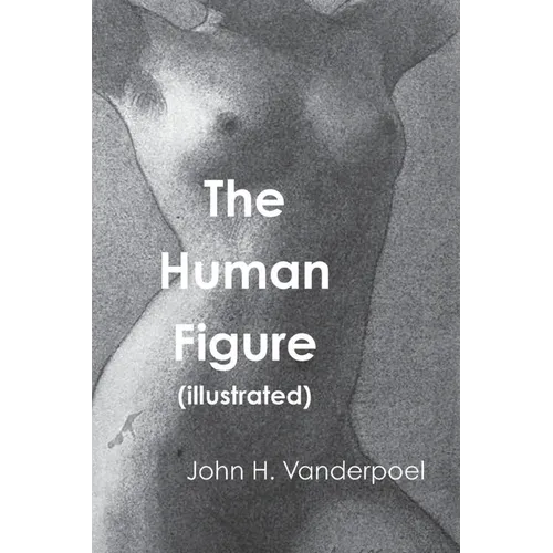 The Human Figure