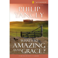 What's So Amazing about Grace? Participant's Guide
