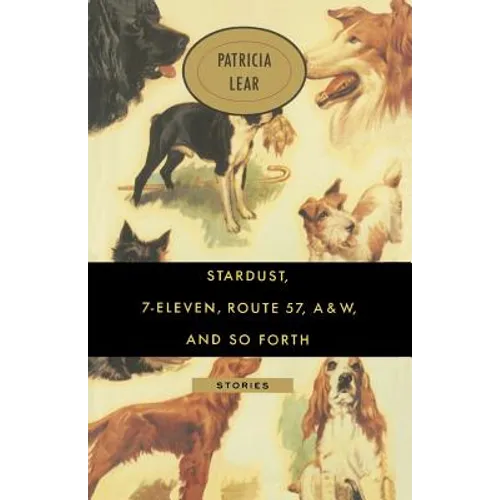 Stardust, 7-Eleven, Route 57, A&W, and So Forth: Stories