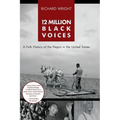 12 Million Black Voices