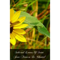Selected Letters Of Saint Jane Frances De Chantal