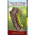 Insects & Bugs of North America: Your Way to Easily Identify Insects & Bugs