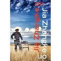 Jia Zhangke on Jia Zhangke