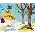 Is the Sky Awake?