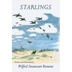 Starlings - Hardcover