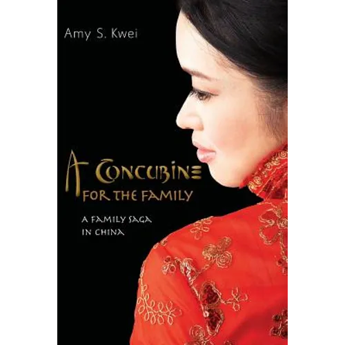 A Concubine for the Family: A Family Saga in China