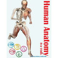 Human Anatomy for Kids