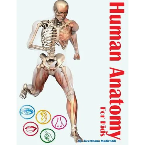 Human Anatomy for Kids