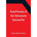 Fossil Forests of the Yellowstone National Par