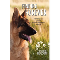 Finding Forever: The Dogs of Coastal German Shepherd Rescue