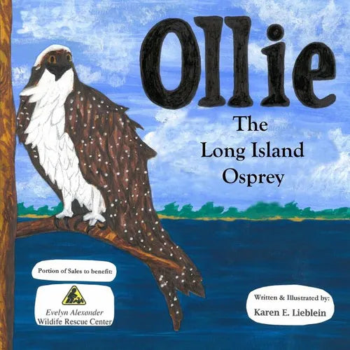 Ollie The Long Island Osprey