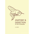 Anatomy and Dissection of the Honeybee
