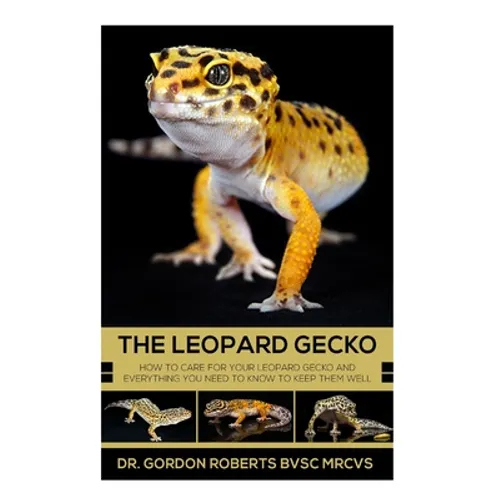 The Leopard Gecko: How to care for your Leopard Gecko and everything you need to know to keep them well.