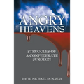 Angry Heavens: Struggles of a Confederate Surgeon