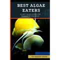 Best Algae Eaters: 20 Best Algae Eaters for Freshwater Aquarium