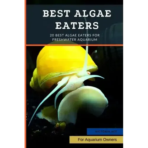 Best Algae Eaters: 20 Best Algae Eaters for Freshwater Aquarium