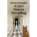 Life by Pumpkin: A Cat's View on Everything