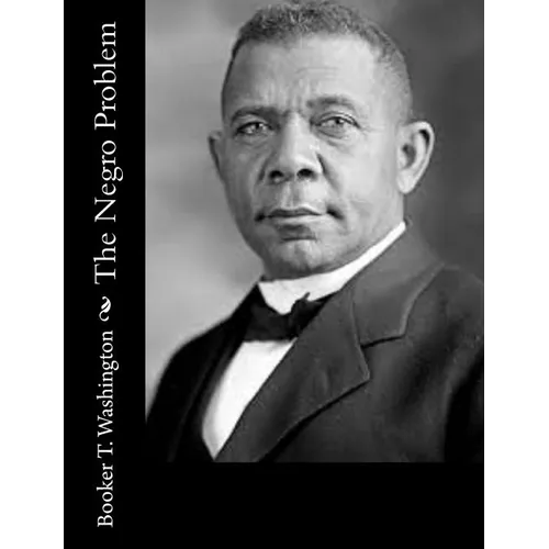 The Negro Problem