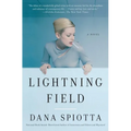 Lightning Field