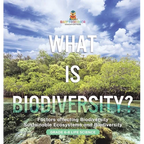 What is Biodiversity? Factors Affecting Biodiversity Sustainable Ecosystems and Biodiversity Grade 6-8 Life Science - Hardcover