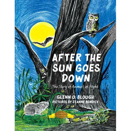 After the Sun Goes Down
