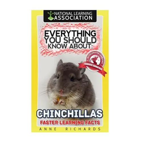 Everything You Should Know About: Chinchillas