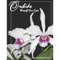 Orchids Through Our Eyes