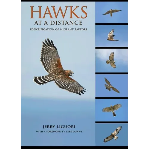Hawks at a Distance: Identification of Migrant Raptors