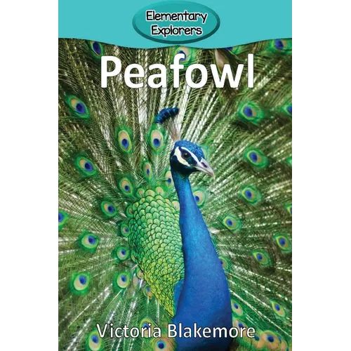Peafowl