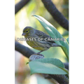 Diseases of Canaries