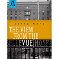 The View from the Vue
