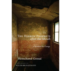 The Hebrew Prophets After the Shoah: A Mandate for Change - Hardcover