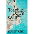 Tearing Down the Wall